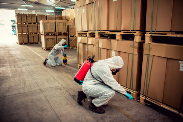 Best Termite Control Services  in Cudahy, WI