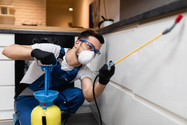 Best Rat Extermination Near Me  in Cudahy, WI