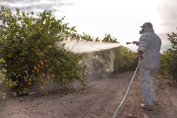 Best Emergency Pest Control  in Cudahy, WI