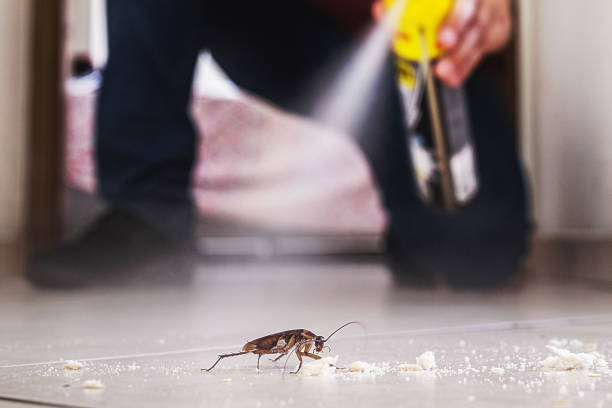 Best Cockroach Control Services  in Cudahy, WI