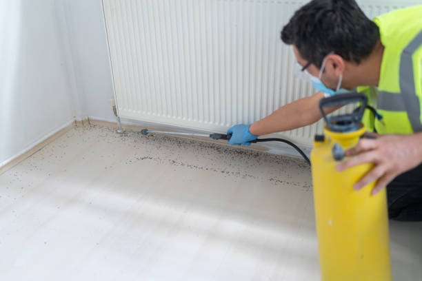 Best Ant Control Services  in Cudahy, WI